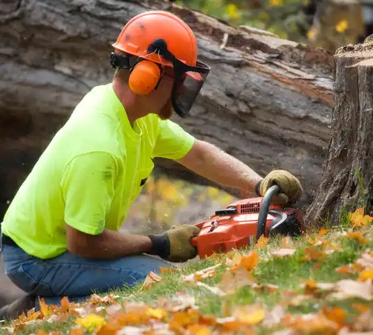 tree services Remsenburg-Speonk